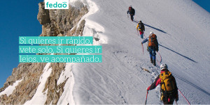 FEDAO