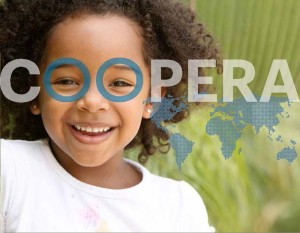 Informe Ruta de la Luz