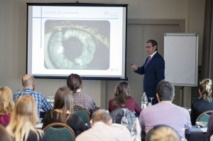 Presentacion linea Optimo