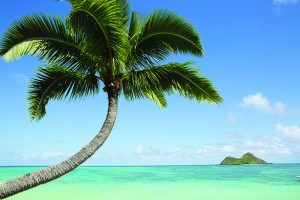 Sin-MauiJim