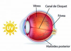 imagen Zeiss